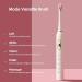 Pink Series Ultra Whitening Electric Toothbrush ADA Accepted 5 Modes 42 000 VPM 50 Days Power Type-C Fast Charge Buy Internationally - Buy Online on GoSupps.com