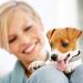 CHUKCHI Soft Adjustable Velvet Collar for Small Dogs & Cats - Red with Rhinestones & Bells - Buy Online on GoSupps.com