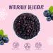 Honeyberry Solutions LTD Freeze Dried Wild Blueberries 250g Freeze Dried Blueberries Dried and Freeze Dried Fruit Freeze Dried Wild Blueberries for Baking Cake Decorating Smoothies Muesli and Desserts - Buy Online on GoSupps.com