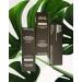 EVO Sensitive Anti-Cavity Fluoride Toothpaste Sweet Mint 3.5 oz 3 Pack - Buy Online on GoSupps.com