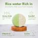 Shampoo Bars and Conditioner Set 3 - Rice Water & Coconut - Nourish & Moisturize Hair - Sulfate & Silicone Free - Solid Soap Easy for Travel (Rice Water) - Buy Online on GoSupps.com