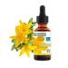 Hypericum drops Relaxing massage oil St. John's wort oil concentrate forte 100% pure body oil scar oil pregnancy strip oil - 100 ml