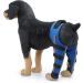Dog Leg Brace Relieve Pain Delicate Pet Knee Pads Shockproof Waterproof Elastic for Pets (S) - Buy Online on GoSupps.com
