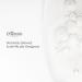 Skin Chemists Retinol Facial Serum 1 fl oz - Anti-Aging Skincare for Radiant Skin | International Shipping Available - Buy Online on GoSupps.com
