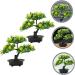 Ciieeo 2pcs Artificial Fruit Tree Faux Potted Plants Flower Vases Decorative Lemon Tree Artificial Fruit Potted Faux Fruit Tree Bonsai Fake Lemon Bonsai Linden Tree Pvc Desktop Office As Shown 1 30X27X16CM - Buy Online on GoSupps.com