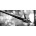 Ramcat Hydroshock Broadheads - 125 Grain | Pivoting Design for Precision and Power - Buy Online on GoSupps.com