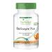 Fairvital | FairEnzym Plus - Multi Enzyme Complex - with rutin bromelain trypsin & chymotrypsin HIGH DOSE - 100 DRCaps