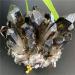 Natural Crystal Rough Very Beautiful Citrine Phantom Quartz Point Specimen Collection Home Feng Shui Decor AGBLKLCME (Color : Black Quarts Size : 430g) 430g Black Quarts - Buy Online on GoSupps.com
