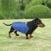 Dachshund Raincoat - Waterproof Winter Clothes for Miniature Dachshund XS Blue - Buy Online on GoSupps.com
