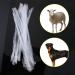 Ponacat Disposable Artificial Insemination Tube - 10 PCS PVC Catheter for Dogs & Sheep Breeding - Buy Online on GoSupps.com