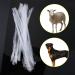 Ruiqas 10pcs/set Disposable Dog Catheter Tube with Artificial Insemination for Dogs