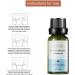 Fowybe Breast Bust Essential Oil 20ml Natural Firming Massage Oil for Breast Lift & Nourishment - Buy Online on GoSupps.com