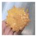 Crystal Rough Natural Crystals Quartz Freeform Reiki Stones Room Home Office Aquarium Decoration Accessories Gemstone Beautiful (Size : 400-450g) (Size : 300-350g)