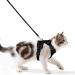 Cat dishes with a leash breakproof cat liner set adjustable soft kitten vest with reflective stripes chest harness for small kittens (black XXS) black XXS