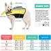 PopetPop Dog Life Jacket - Reflective & Durable Float Coat for Small Medium & Large Dogs - Ideal for Swimming & Training - Buy Online on GoSupps.com
