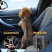 Buy Safety Crockery Dog Car Belt | 3 in 1 Adjustable Reflective Pet Safety Belt for All Breeds - Shock Absorption | International Shipping - Buy Online on GoSupps.com