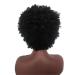 Jier Natural Black Short Kinky Curly Afro Wig for Black Women | Synthetic Afro Wigs - One Size - Buy Online on GoSupps.com