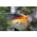 Tigofly 40pcs Cone Head Tube Fly Set | Best Streamer Flies for Salmon Trout & Steelhead Fishing - Premium Lure Patterns - Buy Online on GoSupps.com