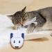 Kittio Robo Mouse: Interactive Cat Toy with Smart Steering Sensors - USB Charging - Buy Online on GoSupps.com