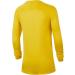 Nike Unisex Kids Park Long Sleeve Jersey - Tour Yellow/Black (Size L) | Shop Internationally - Buy Online on GoSupps.com