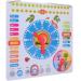 ewtshop Colorful Learning Clock - Metal Educational Board for Date Time & Seasons | Fun & Simple Learning Tool - Buy Online on GoSupps.com