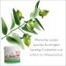 Hornex Foot Cream - 25% Urea for Cracked Heels & Dry Skin | 200ml | Effective Corn Removal | Cristinenmoor - Buy Online on GoSupps.com