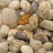 Ubbink Pond Gravel 10 kg Pond Soil Pond Decoration Pond Soil 8 - 12 mm - Buy Online on GoSupps.com