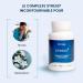 Stress Complex 8 Natural Active Ingredients for Stress and Emotional Balance 90 Capsules 100% Vegan No Additives Wellness and Serenity High Quality Dynveo - Buy Online on GoSupps.com