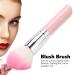 Portable Professional Makeup Brushes | Powder & Blush Brush for Artists - International Shipping Available - Buy Online on GoSupps.com