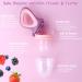 Baby Fresh Fruit Food Pacifier Nibbler Feeder 2 Pack HAOBAOBEI Pacifier Teether for Babies 3 Months+ Training Massaging Teething Toy BPA Free Silicone Feeder with 4 Silicone Pouch (Purple&Yellow) Yellow&Purple - Buy Online on GoSupps.com