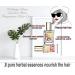 Weilaiya Rose Essence Hair Care Oil - Pure Fragrance 1.41 fl oz | International Shipping - Buy Online on GoSupps.com