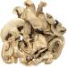 Dried Paris Mushrooms 250g - Buy Online on GoSupps.com