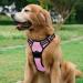 Rabbitgoo Medium Dog Harness - Anti-Pull Adjustable & Breathable Design for Large Dogs - Safe Control with Reflective Stripes - Pink XL (1 Pack) - Buy Online on GoSupps.com