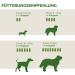 Aniforte Wersmix for Dogs - 50 Natural Ingredient Capsules | 10 Years Proven Support with Saponins Thyme Wormwood & Sage - Shop Internationally! - Buy Online on GoSupps.com