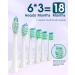 YteaTh Sonic Electric Toothbrush - Rechargeable for 180 Days - 6 Brush Heads - Typc C Cable - Purple - Adults and Kids - Buy Online on GoSupps.com