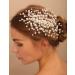 Deniferymakeup Pearl Bride Hair Clip Pearl Wedding Clip Bridal Hair Piece Wedding Hair Accessories for Women and Girls (Gold)