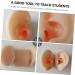 STOBOK 1 Pair Ear Picking Model Silicone Tunnels for Ears Ear Anatomy Model Anatomy Ear Model Fake Ear Artificial Display Ear Model Simulation Ear Mold Auditory Meatus Model Silica Gel - Buy Online on GoSupps.com