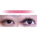 Eyeliner Guide Tool - Portable Multifunctional Eyeliner Stencils - Mascara Shield for Beginners Eyebrow Stencils for Winged Eyeliner Lashes Lip Liner Dalynn Yellow - Buy Online on GoSupps.com