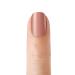 Kiss Nails GEL FANTASY Medium Design Nails with Adhesive Tabs & Glue - KGN04 Charmed Life - Buy Online on GoSupps.com