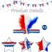 Patriotic Sequins Star Headbands - 2pcs Memorial Day & Independence Day Hair Accessories - Buy Online on GoSupps.com
