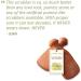 Pumice Stone Set - Long-Lasting Foot Exfoliator & Callus Remover (2 Pack) - Buy Online on GoSupps.com