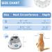 Supet Cat Cone Collar Soft to Stop Licking Cat Recovery E Collar After Surgery Cat Neck Head Cone Alternative for Small Large Cats Kittens Grey M+(8.5"-12") Grey - Buy Online on GoSupps.com