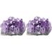 Didiseaon 4 Pcs Natural Crystal Cluster Agate Bare Stone Natural Minerals Small Piece Purple - Buy Online on GoSupps.com