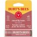 Burt's Bees Tinted Lip Balm Red Dahlia Blister 0.15oz