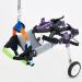 Dog Wheelchair For Paralyzed Back Legs Adjustable Cart Wheel Chair ( X)