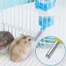 HAICN Hamster Water Bottles Automatic Water Feeder No Drip Guinea Pig Water Bottle Small Animal Pet Water Bottle for Hamster Squirrel Rabbit (Blue) - Buy Online on GoSupps.com