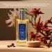 Perfect Scents Fragrances | Inspired by Dior s Sauvage| Platinum Collection | Bergamot Amber | Men s Eau de Parfum | CLEAN Vegan Paraben & Phthalate Free | Never Tested on Animals | 3.4 Fl Oz Dior's Sauvage - Buy Online on GoSupps.com