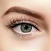 Chromaview Two Tone Colored Contact Lenses Non-Prescription Green (90 Days)