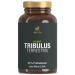 Vitaciv Tribulus Terrestris 1500 mg |240 capsules - high -dose tribulus extract made of Bulgarian tribulus - plus L -arginine ginseng maca zinc & vitamin B6 - supplement for strength athletes