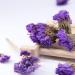 LWXLJMJZC Forget-Me-Not Flower/Don't Forget Me Flower Tea Dried Natural Myosotis Sylvatica Herbal Tea 1.41oz/40g 40g Forget-me-not Flowers Tea - Buy Online on GoSupps.com